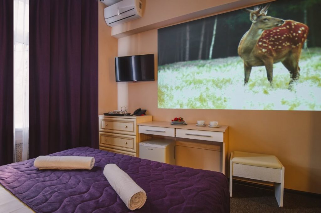 Standard double room with projection cinema